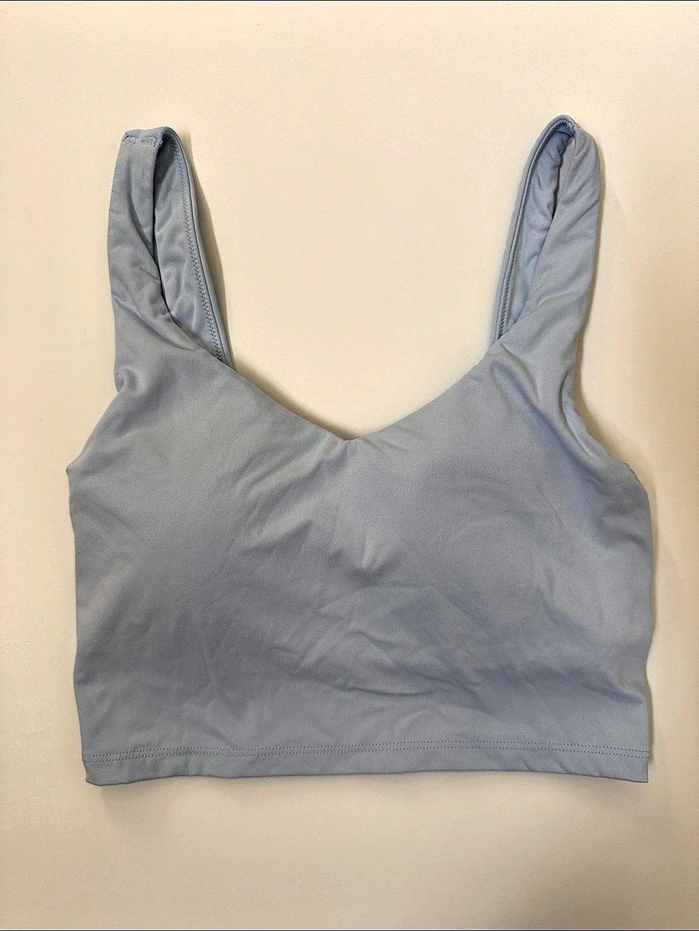 Aerie Lighr Blue Sports Bra